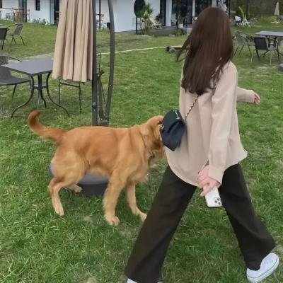 我才不要和人类恋爱呢